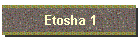 Etosha 1