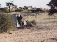 Camping in Namibie